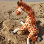 Giraffa Felicità Estate